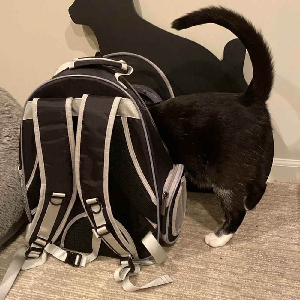 Cat bubble backpack